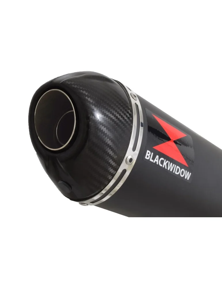 GSX1200 INAZUMA Performance Race Exhaust Black Stainless Ovale Silencieux & Carbon Tip 300mm