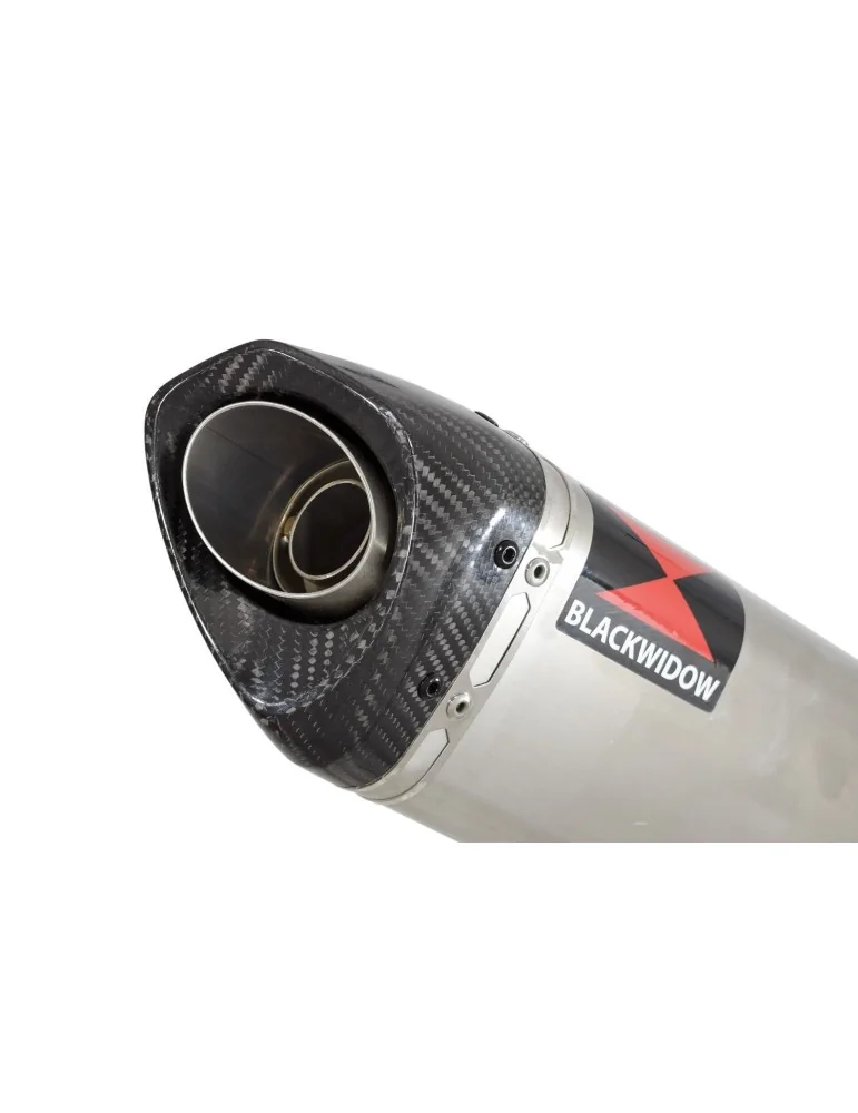 GSX1200 INAZUMA Performance Race Exhaust Stainless Tri Ovale Silencieux & Carbon Tip 250mm
