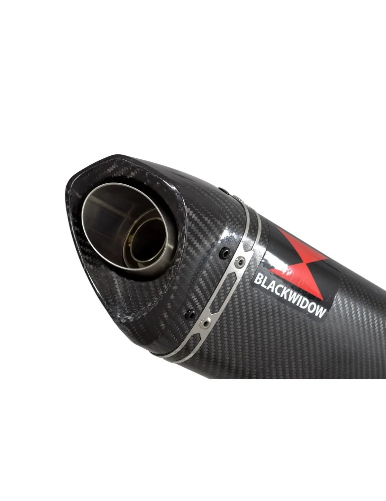 GSX1200 INAZUMA Performance Race Exhaust Carbon Tri Ovale Silencieux & Carbon Tip 250mm
