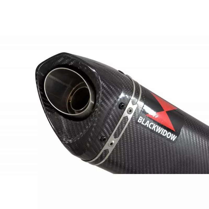 GSX1200 INAZUMA Performance Race Exhaust Carbon Tri Ovale Silencieux & Carbon Tip 250mm