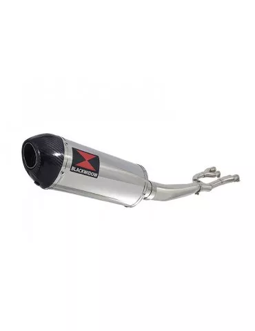 GSX1400 GSX 1400 4-1 Collecteur et Silencieux Ovale En Inox + Canule En Carbone 300mm
