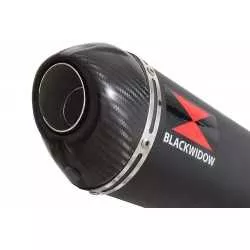 GSX750 Inazuma Tube de raccord et Silencieux Ovale Noir En Inox + Canule En Carbone 300mm
