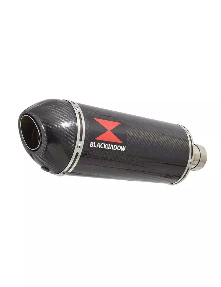 GSX 750 Inazuma Tube de raccord et Silencieux Ovale En Carbone 300mm