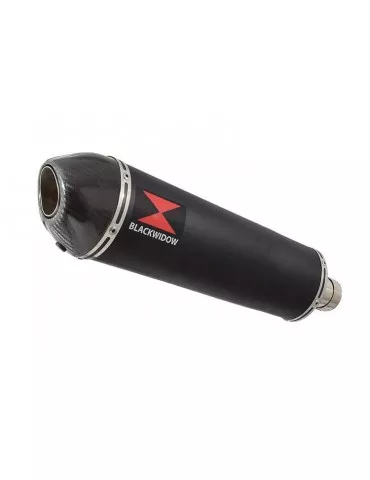 Yamaha YZF R1 98-01 Ligne complète & Silencieux Ovale Noir En Inox + Canule en Carbone 400mm