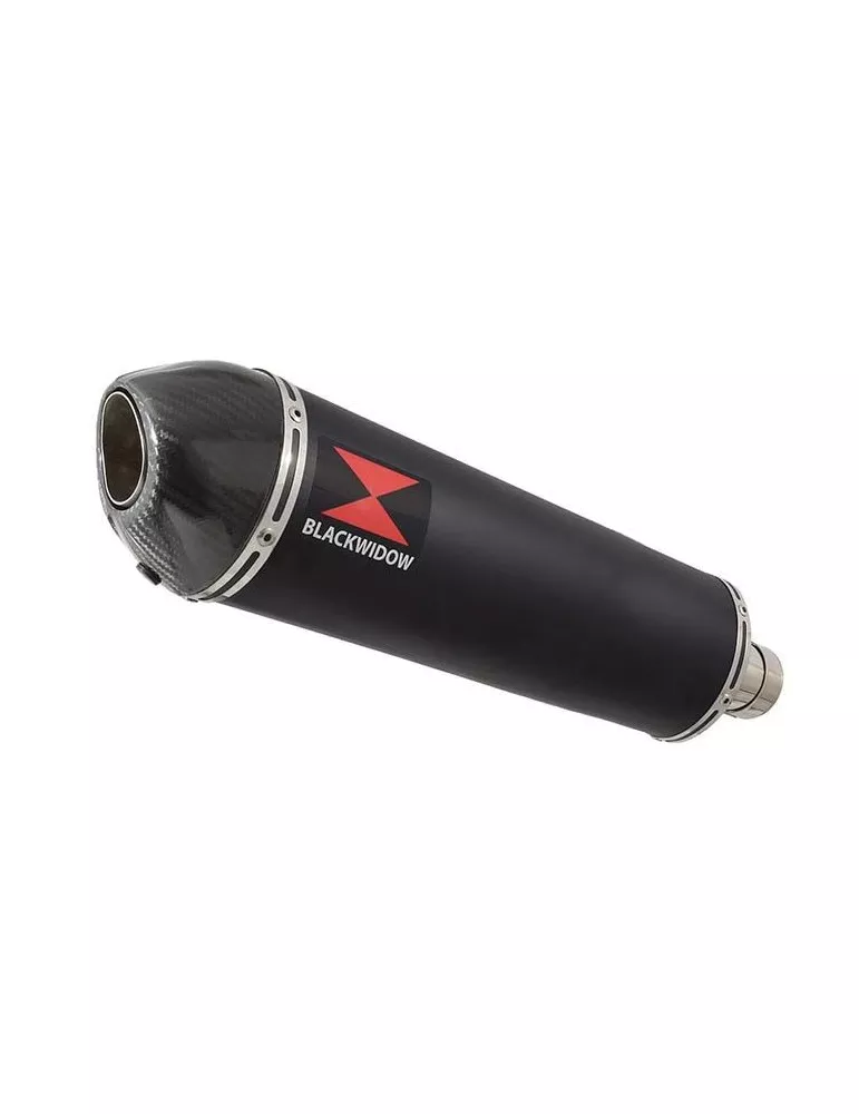 Yamaha YZF R1 98-01 Ligne complète & Silencieux Ovale Noir En Inox + Canule en Carbone 400mm