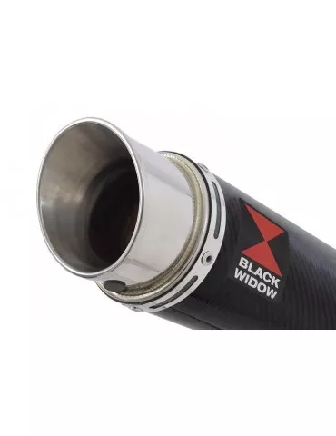 Yamaha YZF R1 98-01 Ligne complète & Silencieux Rond En Carbone 200mm