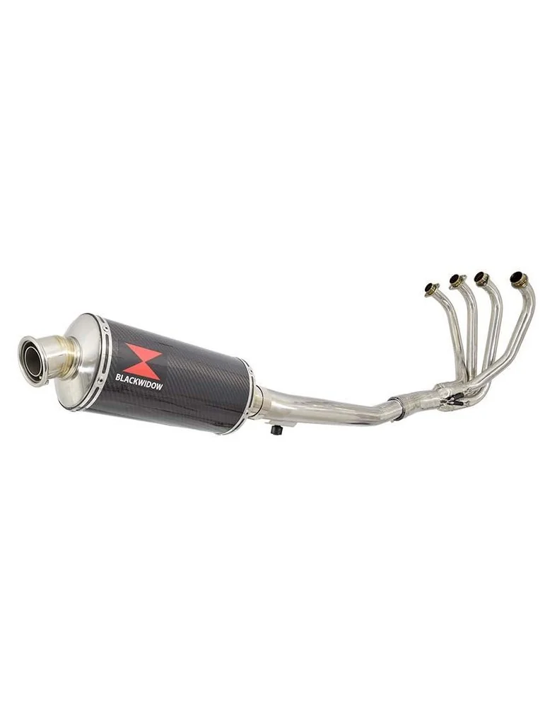 GSX 750 Inazuma Ligne complète & Silencieux Ovale En Carbone 300mm