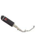 Collecteur + Décatalyseur + Silencieux Podium Carbone 300mm