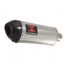 KAWASAKI KLE 500 KLE500 Ligne complète & Silencieux Ovale En Inox + Carbone 300mm