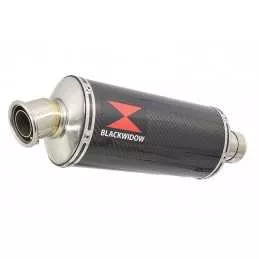 KAWASAKI KLE 500 KLE500 Ligne complète & Silencieux Ovale En Carbone 300mm