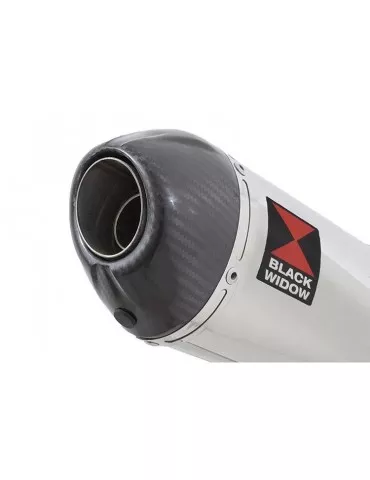 Yamaha YZF R1 98-01 Ligne complète & Silencieux Ovale En Inox + Canule En Carbone 200mm