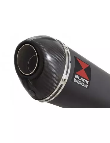 Yamaha YZF R1 98-01 Silencieux Kit & Silencieux Ovale Noir En Inox + Canule en Carbone 200mm