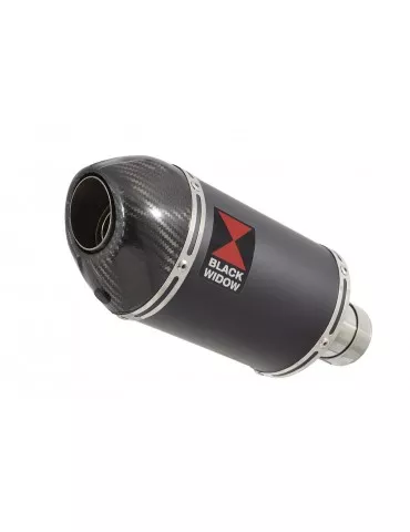 SV650 1998-2002 Tube de raccord et Silencieux Ovale Noir en Inox + Canule en Carbone 200mm