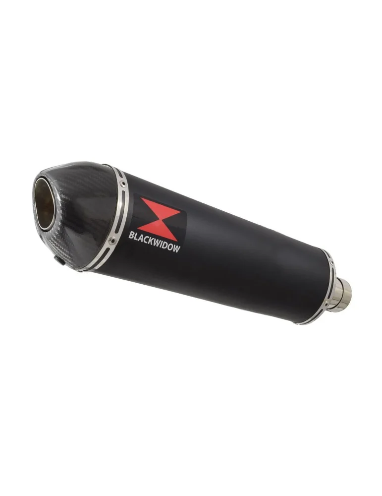 SV650 1998-2002 Tube de raccord et Silencieux Ovale Noir en Inox + Canule en Carbone 400mm
