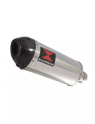 SV650 1998-2002 Tube de raccord et Silencieux Ovale en Inox + Canule en Carbone 300mm