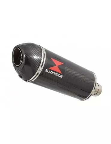 SV650 1998-2002 Tube de raccord et Silencieux Ovale En Carbone 300mm