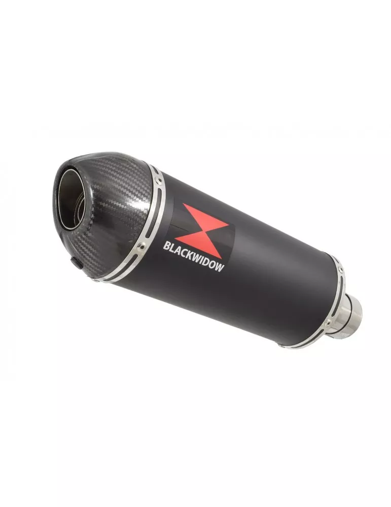 SV650 1998-2002 Tube de raccord et Silencieux Ovale Noir en Inox + Canule en Carbone 300mm