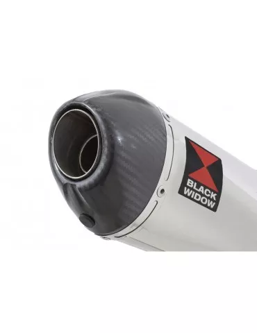 SV650 1998-2002 Tube de raccord et Silencieux Ovale en Inox + Canule en Carbone 200mm