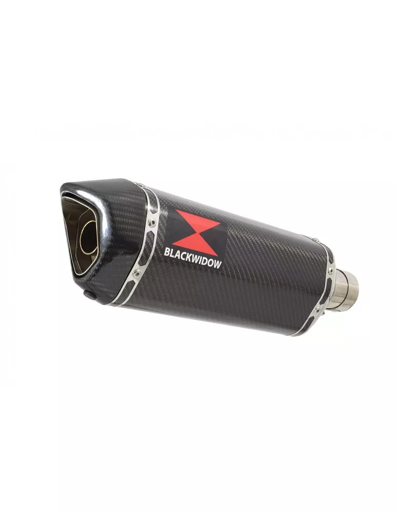 GSX-S 1000 F Silencieux Kit + Silencieux Hexagonale En Carbone 300mm