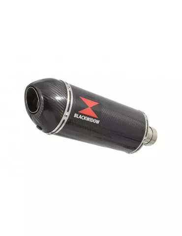 GSXR1000 L2 L3 L4 L5 L6 2012 - 2016 Tube de raccord et Silencieux Ovale En Carbone 300mm