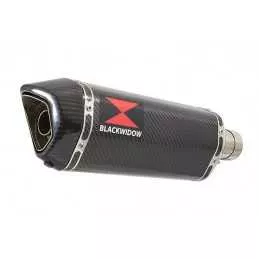 KAWASAKI KLE 500 KLE500 Ligne complète & Silencieux Hexagonale En Carbone + Carbone 300mm