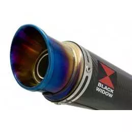 KAWASAKI KLE 500 KLE500 Ligne complète & Silencieux GP Rond En Carbone + Canule en Inox Anodisé 230mm