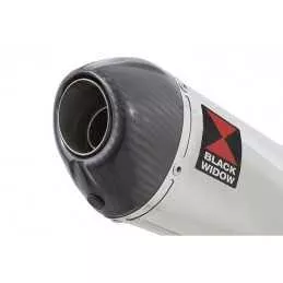 KAWASAKI KLE 500 KLE500 Ligne complète & Silencieux Ovale En Inox + Canule En Carbone 200mm