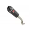 Z800 ZR800A Z800E 13 14 15 16 Tube de raccord (Link Pipe) / Silencieux Ovale en Carbone 300mm