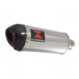 HYOSUNG GT125R GT125 COMET Ligne complète & Silencieux Ovale En Inox + Carbone 300mm