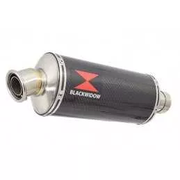 HYOSUNG GT125R GT125 COMET Ligne complète & Silencieux Ovale En Carbone 300mm