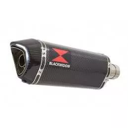 HYOSUNG GT125R GT125 COMET Ligne complète & Silencieux Hexagonale En Carbone 300mm