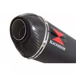 CBR250R MC41 2011-2014 Tube de raccord & Silencieux Ovale Noir En Inox + Carbone Tip 400mm