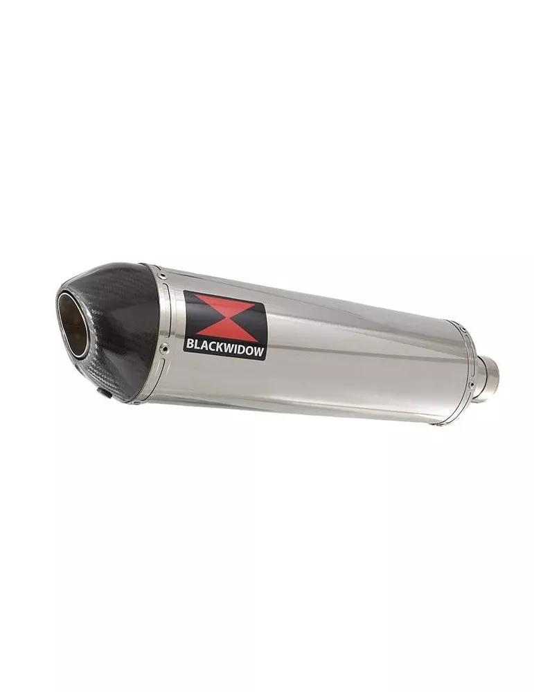 CBR600 CBR 600 FX FY 1999 2000 tube de raccord et Silencieux Ovale En Inox + Carbone Tip 400mm