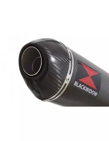 CBR600 CBR 600 FS1 FS2 sport 2001 2002​ tube de raccord et Silencieux Ovale En Carbone + En Carbone Tip 400mm