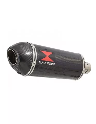 CBR600 CBR 600 FX FY 1999 2000 tube de raccord et Silencieux Ovale En Carbone + Carbone Tip 300mm