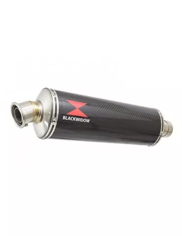 CBR600 CBR 600 FS1 FS2 sport 2001 2002​ tube de raccord et Silencieux Ovale En Carbone 400mm