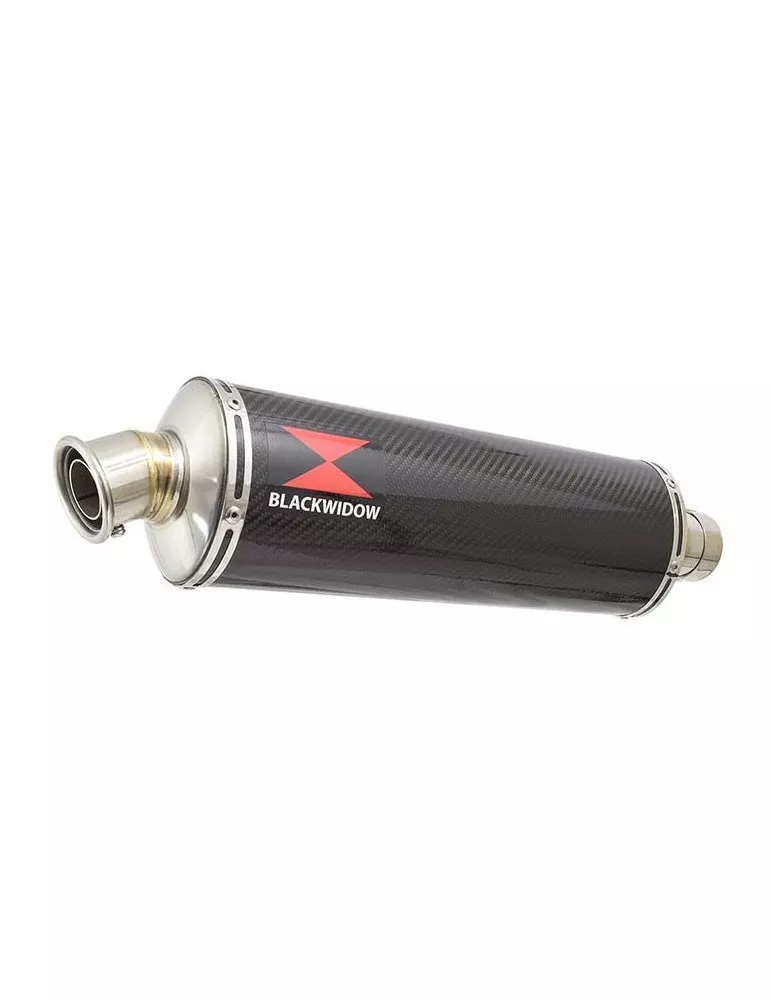 CBR600 CBR 600 FS1 FS2 sport 2001 2002​ tube de raccord et Silencieux Ovale En Carbone 400mm