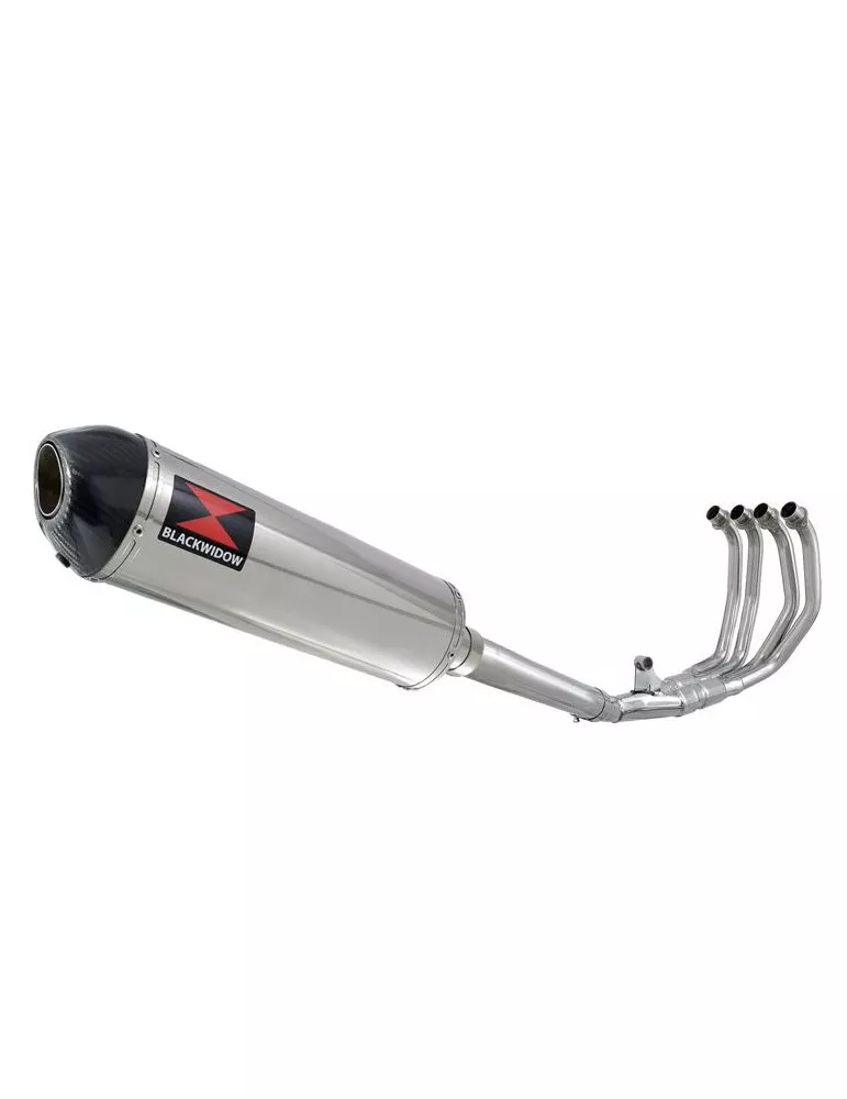 CBR600 CBR 600 FS1 FS2 Sport 2001 2002 Ligne complète & Silencieux Ovale En Inox + En Carbone Tip 400mm