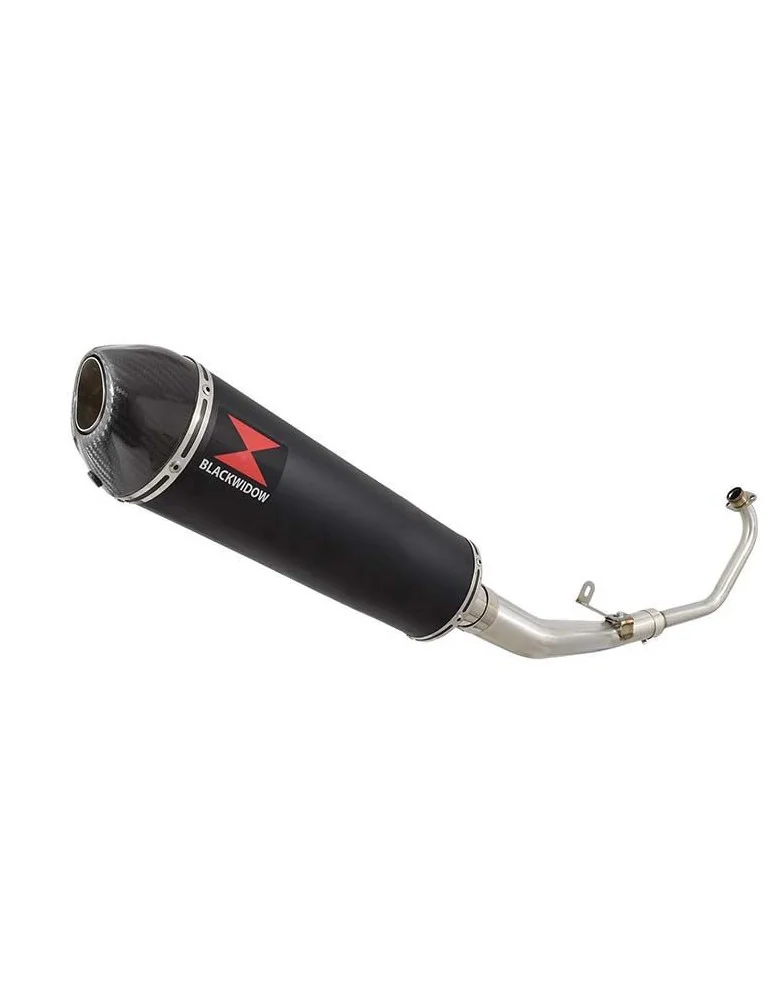 CBR 125 CBR125R 2011 - 2017 Diamètre XI Ligne complète & Silencieux Ovale Noir En Inox + En Carbone Tip 400mm