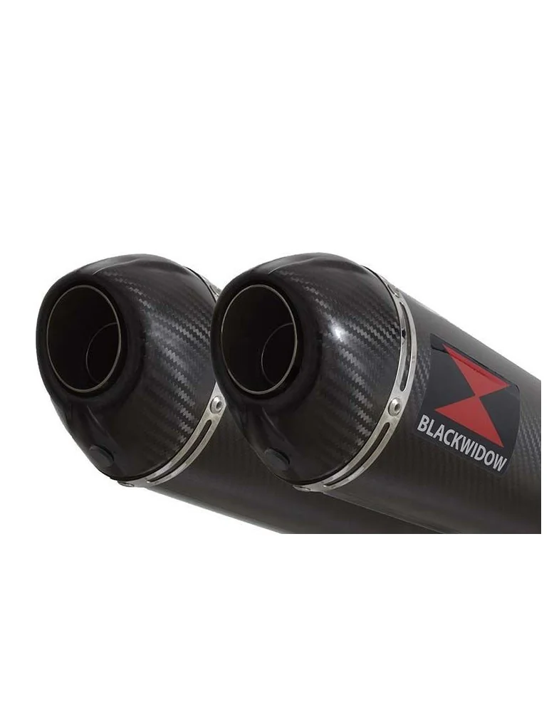 ZZR1200 ZZR 1200 4-2 Silencieux Kit / Silencieux Ovale En Carbone 300mm