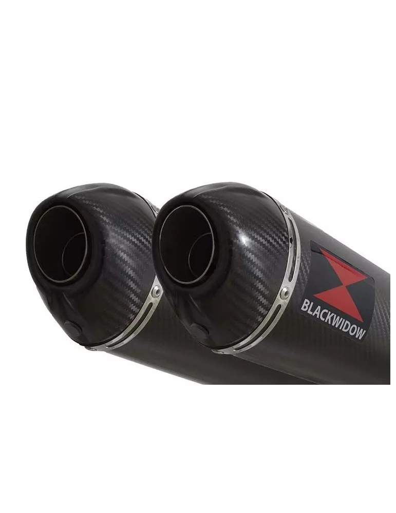 ZZR1200 ZZR 1200 4-2 Silencieux Kit / Silencieux Ovale En Carbone 300mm