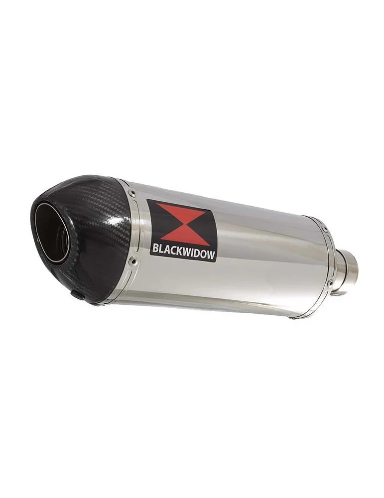 CBR600 CBR 600 F1 F2 F3 F4 F5 F6 F7 2001-2007 Tube de raccord et Silencieux Ovale En Inox + Carbone Tip 300mm