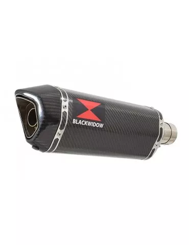 CBR600 CBR 600 F1 F2 F3 F4 F5 F6 F7 2001-2007 Tube de raccord et Silencieux Hexagonale En Carbone + Carbone Tip 300mm