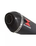 CBR 125 CBR125R 2011 - 2017 Diamètre XI Ligne complète & Silencieux Ovale Noir En Inox + Carbone Tip 300mm