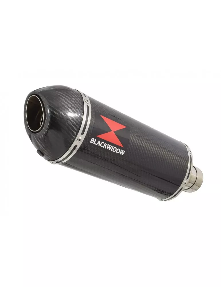 ZZR1200 ZZR 1200 4-1 Ligne complète & Silencieux Ovale En Carbone 300mm