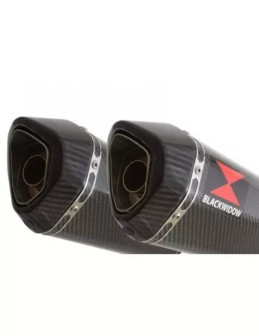 ZZR1200 ZZR 1200 4-2 Silencieux Kit / Silencieux Hexagonale En Carbone 300mm