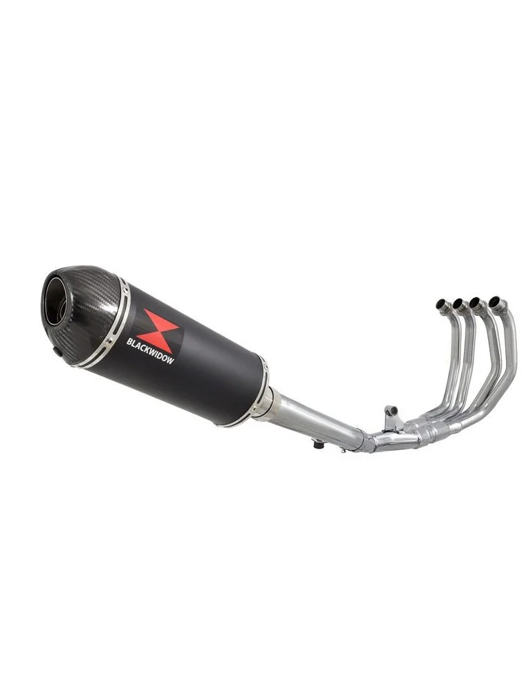 CBR600 CBR 600 F1 F2 F3 F4 F5 F6 F7 2001-2007 Ligne complète & Silencieux Ovale Noir En Inox + En Carbone Tip