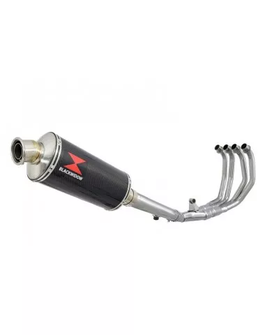 CBR600 CBR 600 F1 F2 F3 F4 F5 F6 F7 2001-2007 Ligne complète & Silencieux Ovale En Carbone 300mm