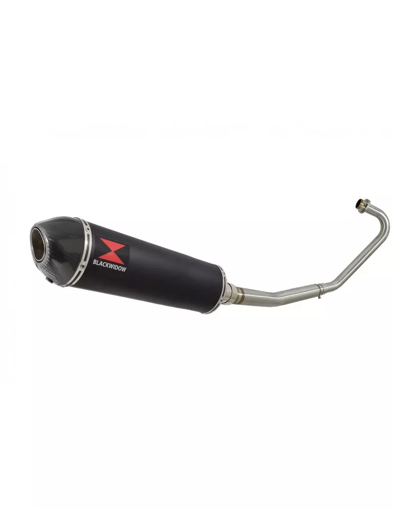 CBF125 2008-2017 Ligne complète & Silencieux Ovale Noir En Inox + En Carbone 400mm