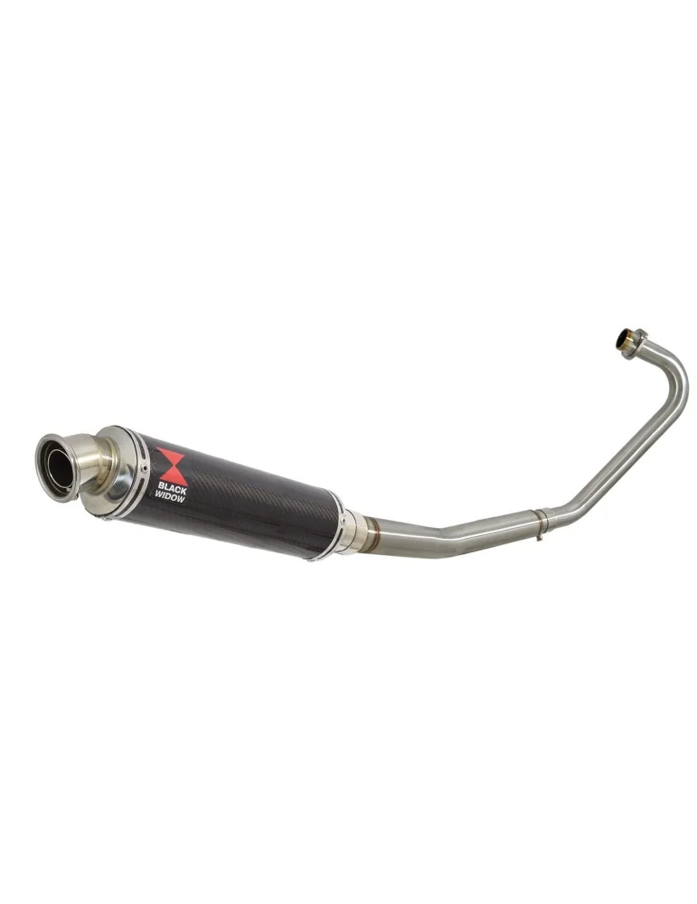 CBF125 2008-2017 Ligne complète & Silencieux Rond En Carbone 350mm